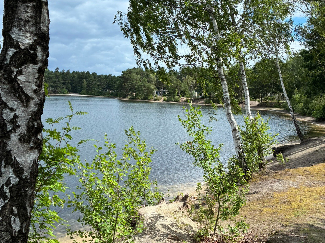Center Parcs de Vossemeren-洛默尔必去景点