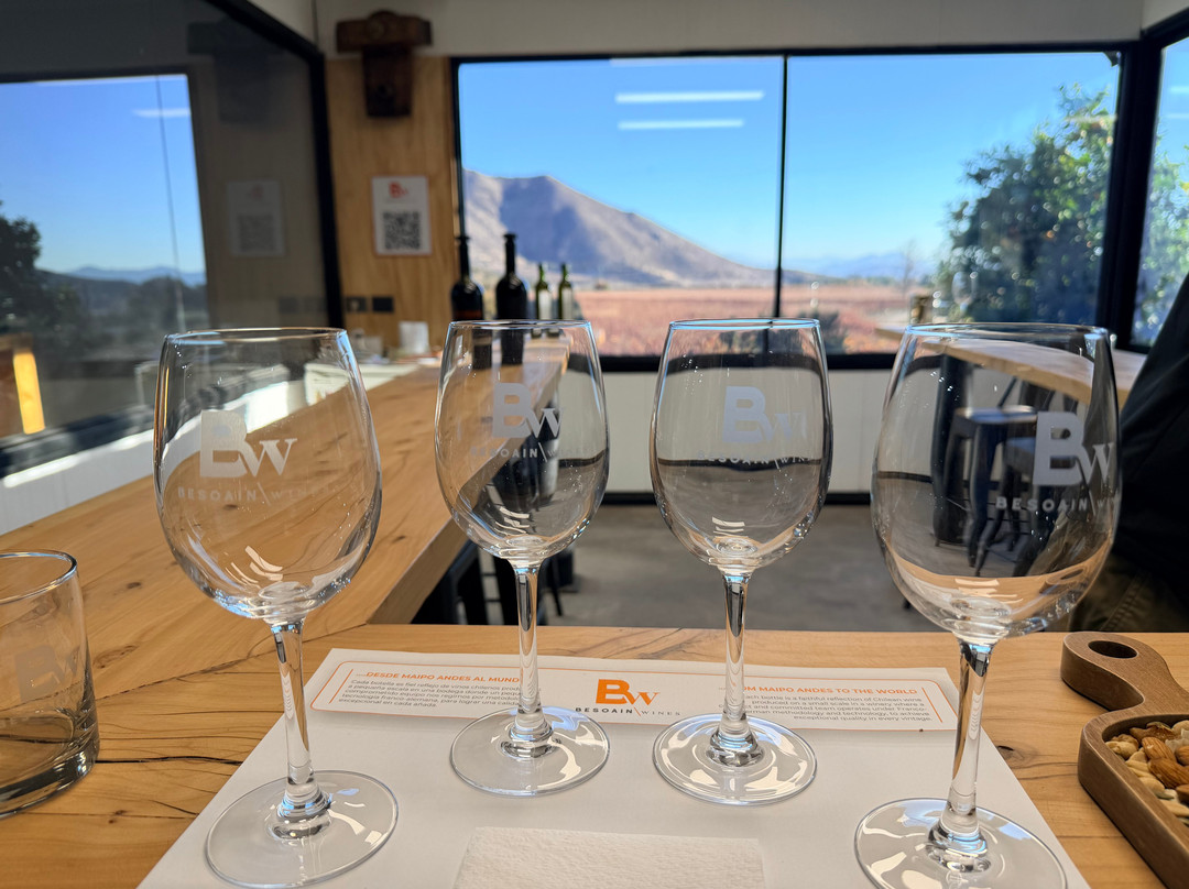 Besoain Wines-Pirque必去景点