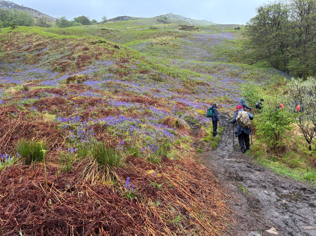 Walk Wild Scotland-格拉斯哥必去景点