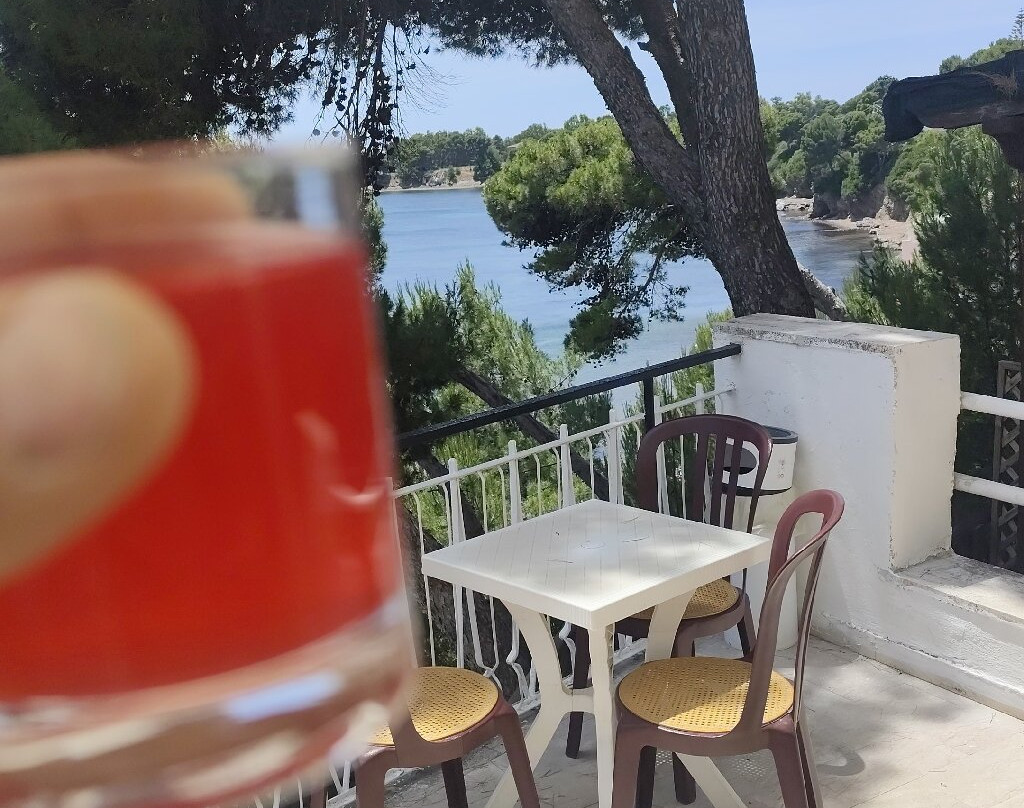 蓬塔利科萨酒店主图