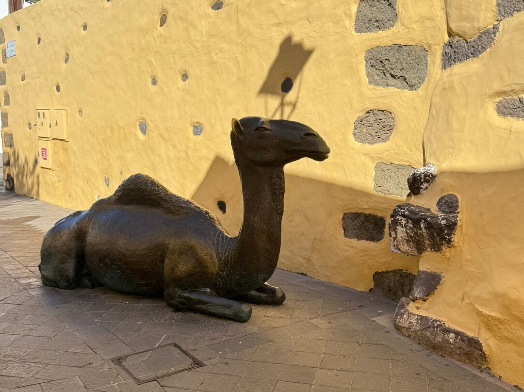 Estatua ''El camello''-阿古伊梅斯必去景点