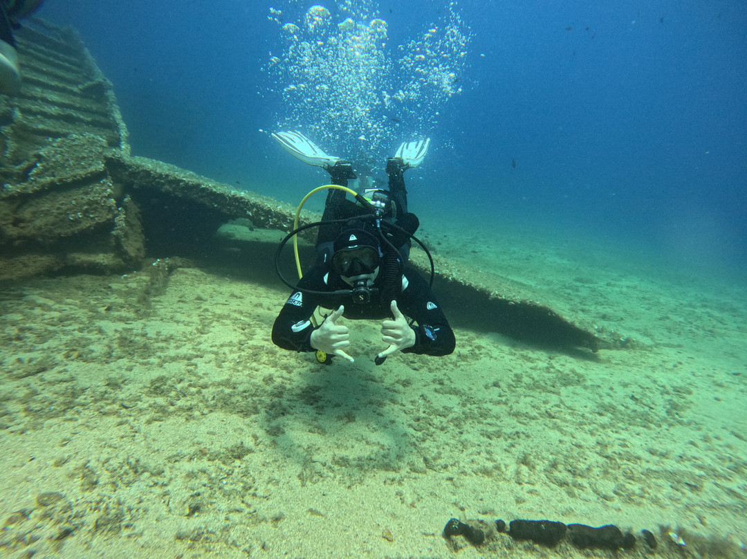 Seahorse Dive Center-瓦里必去景点