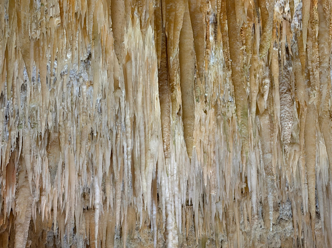 Grotte Di Castellana-卡斯特拉纳格罗泰必去景点