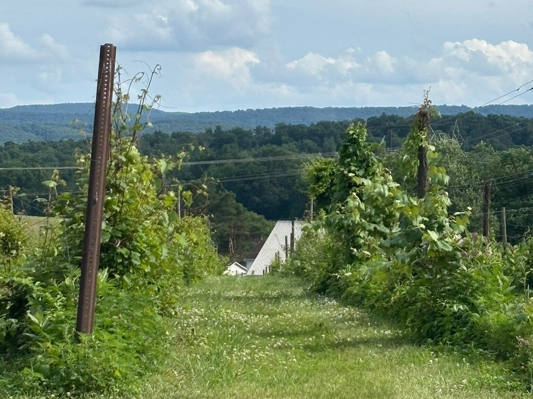 Spyglass Ridge Winery-Sunbury必去景点