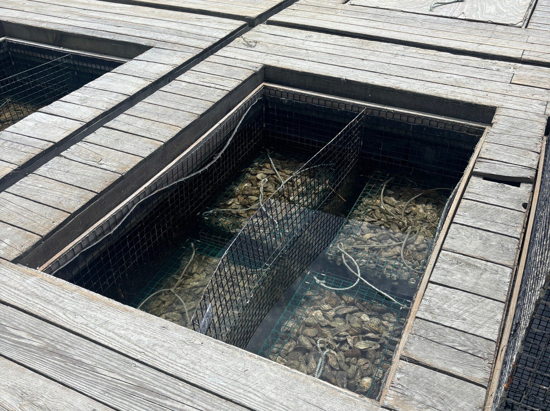 Glidden Point Oyster Farms-Edgecomb必去景点