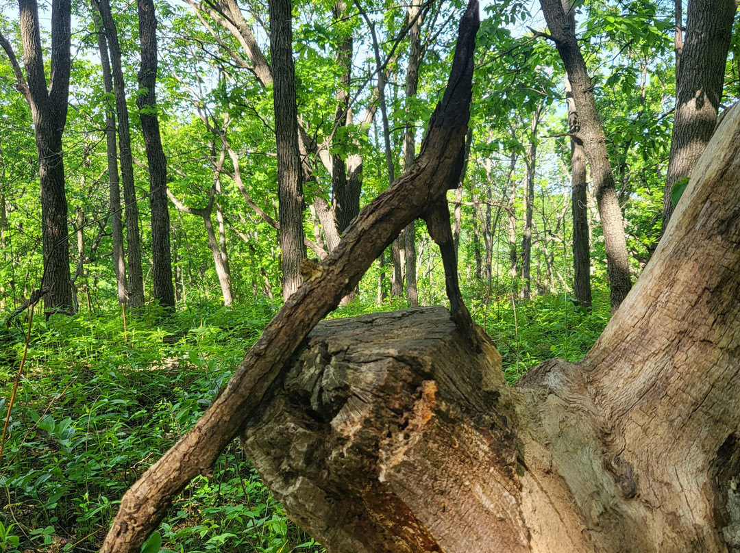 Great River Bluffs State Park-威诺纳必去景点