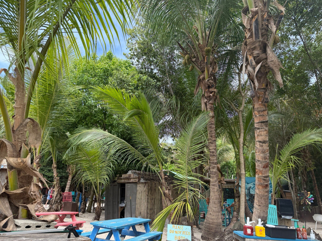Maho Bay Beach-克鲁兹湾必去景点