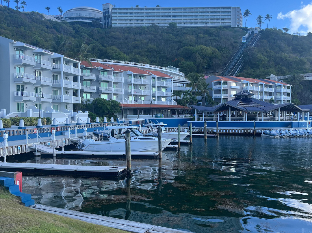 埃尔康基斯塔多尔度假村-波多黎各主图