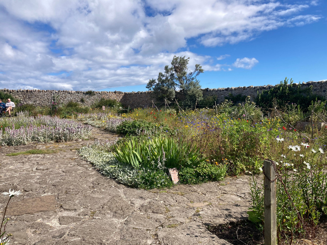 The Gertrude Jekyll Garden-Holy Island必去景点