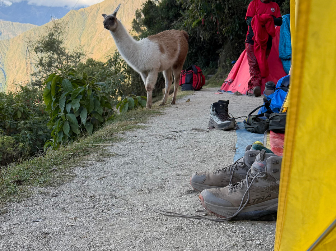 Llama Path-库斯科必去景点
