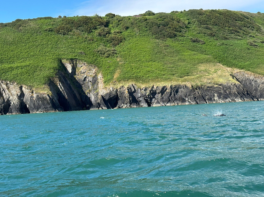 A Bay To Remember Wildlife Boat Trips-St. Dogmaels必去景点