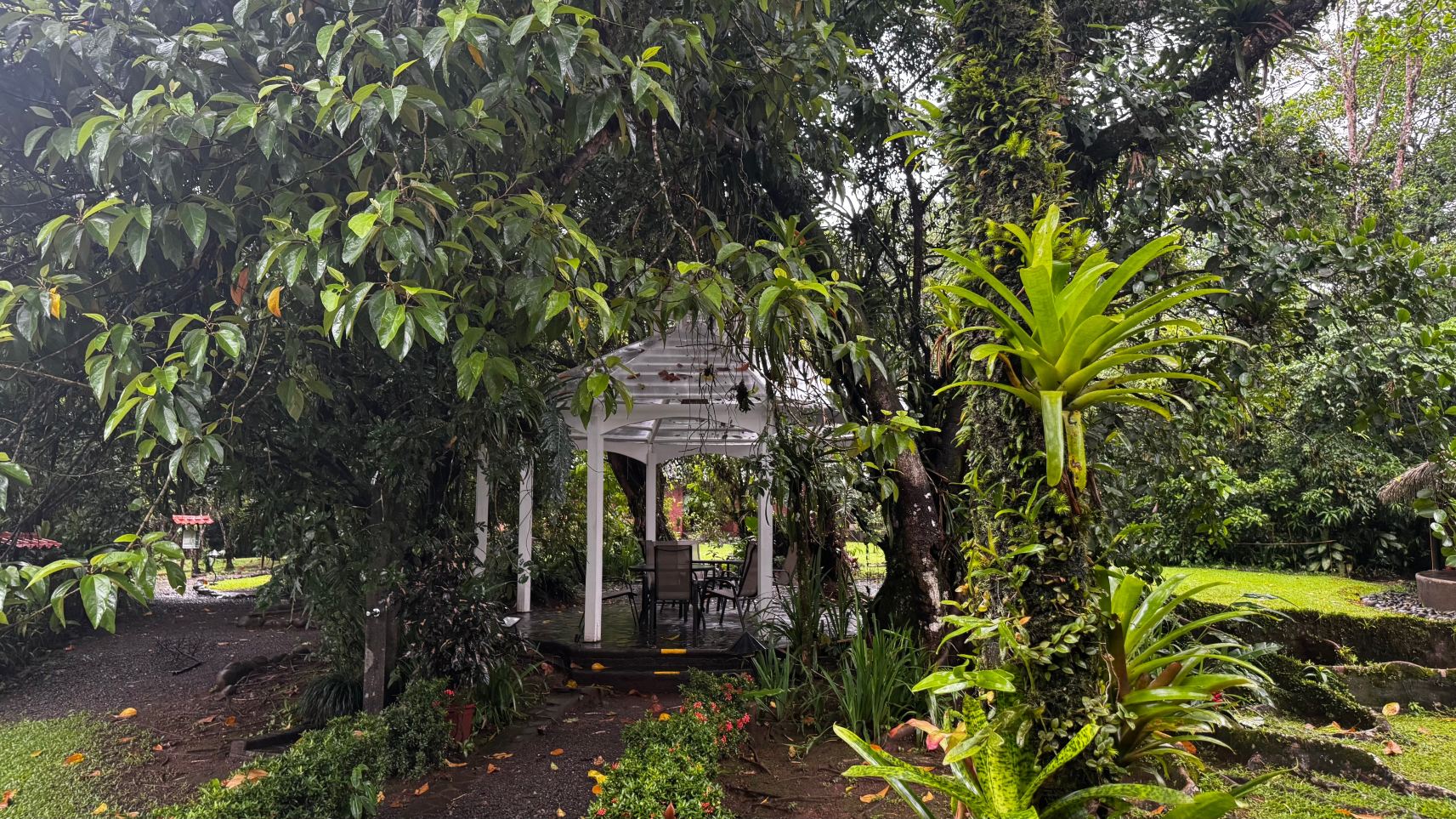 阿兰瓦萨拉皮基雨林旅馆-旅行者