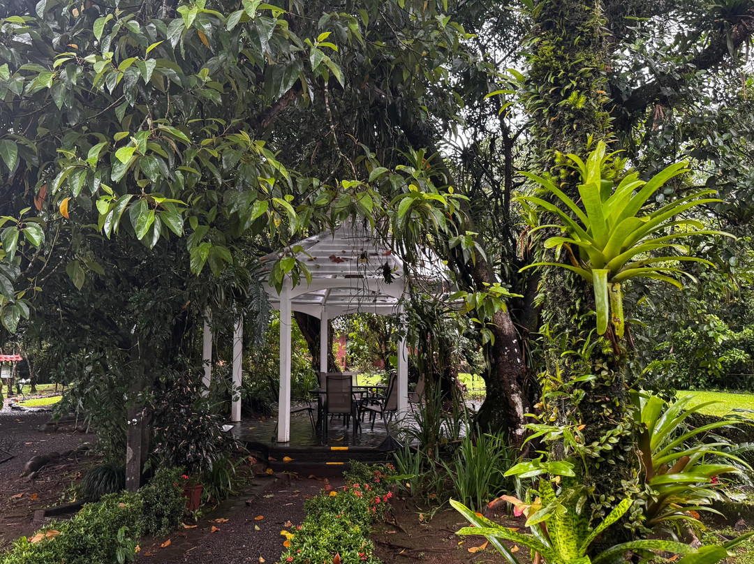 阿兰瓦萨拉皮基雨林旅馆主图