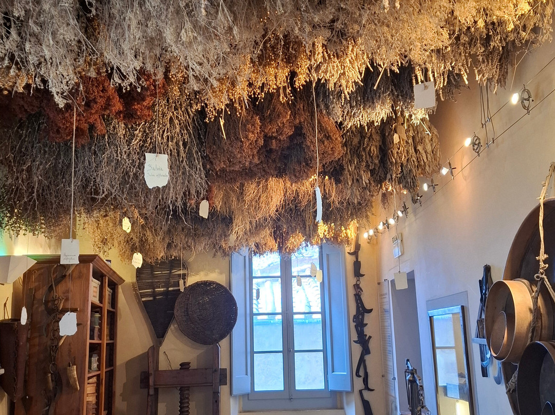 Aboca Museum-圣塞波尔克罗必去景点