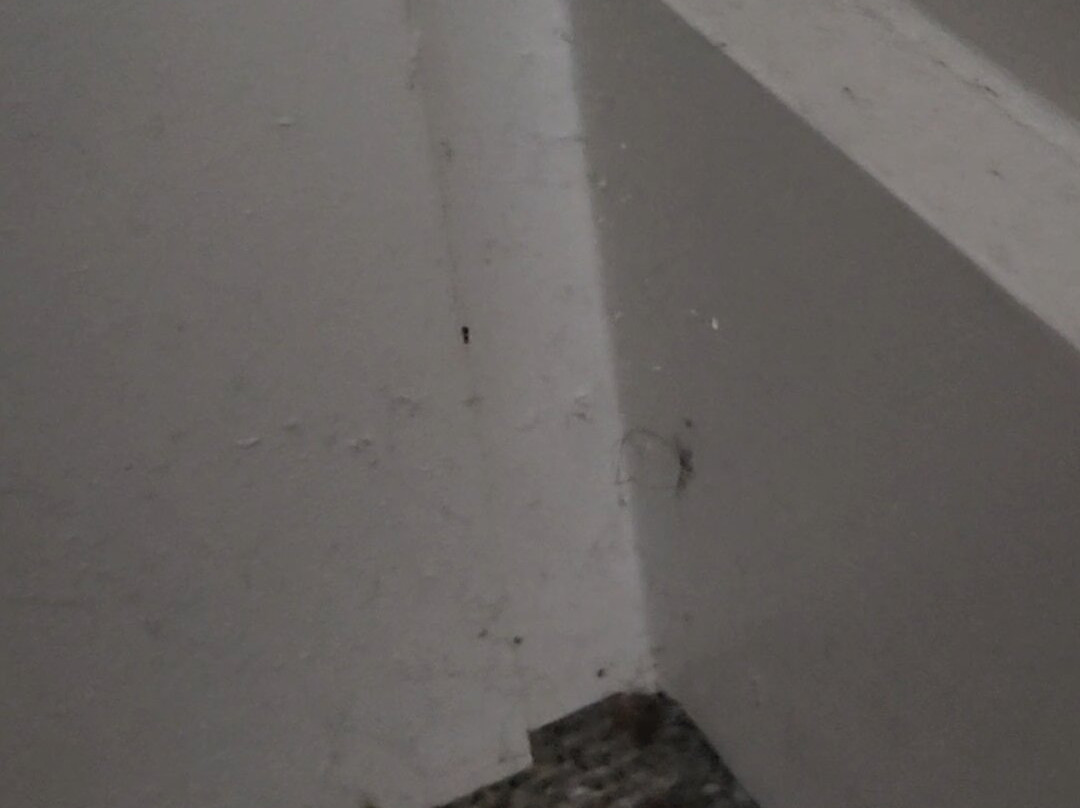 克莱门森湖畔旅馆主图