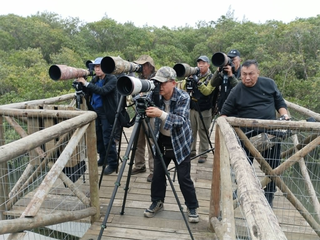 Mochileiros Pousada e Observação de aves