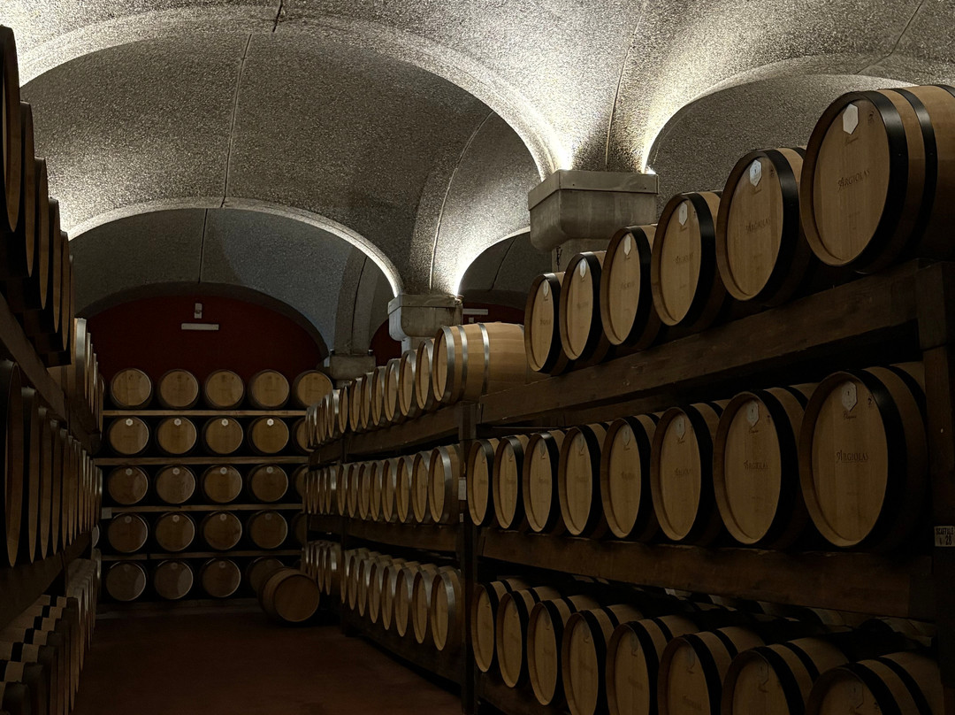 Argiolas Winery-Serdiana必去景点