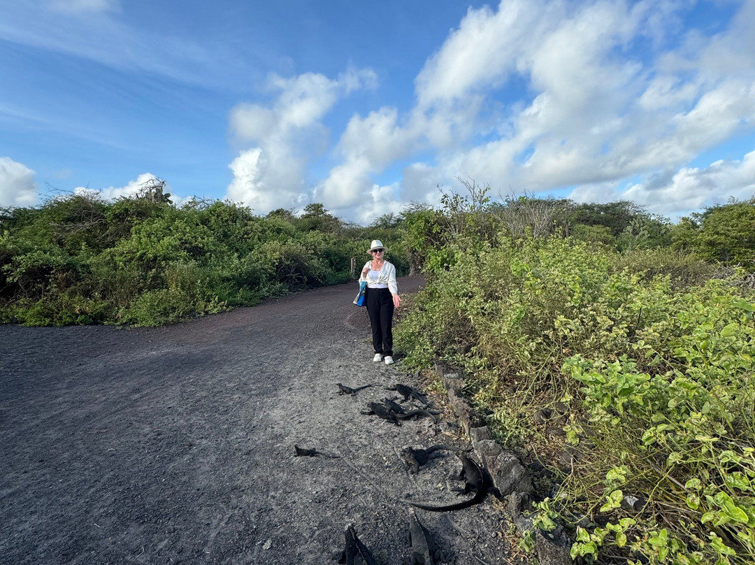 Isabela Island Wetlands Complex-维里亚米尔港必去景点