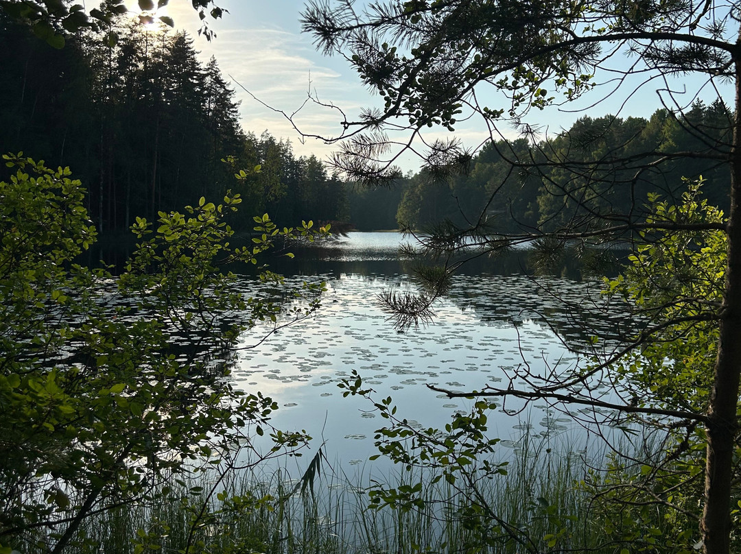 Nuuksio National Park-埃斯波必去景点