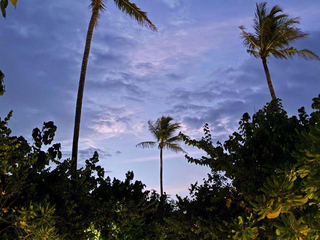 Joy Island Maldives by Cocoon Collection主图