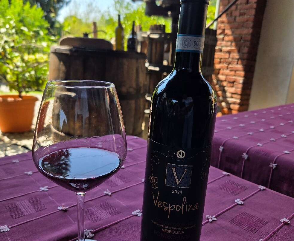 Cantina Fontechiara-Borgomanero必去景点