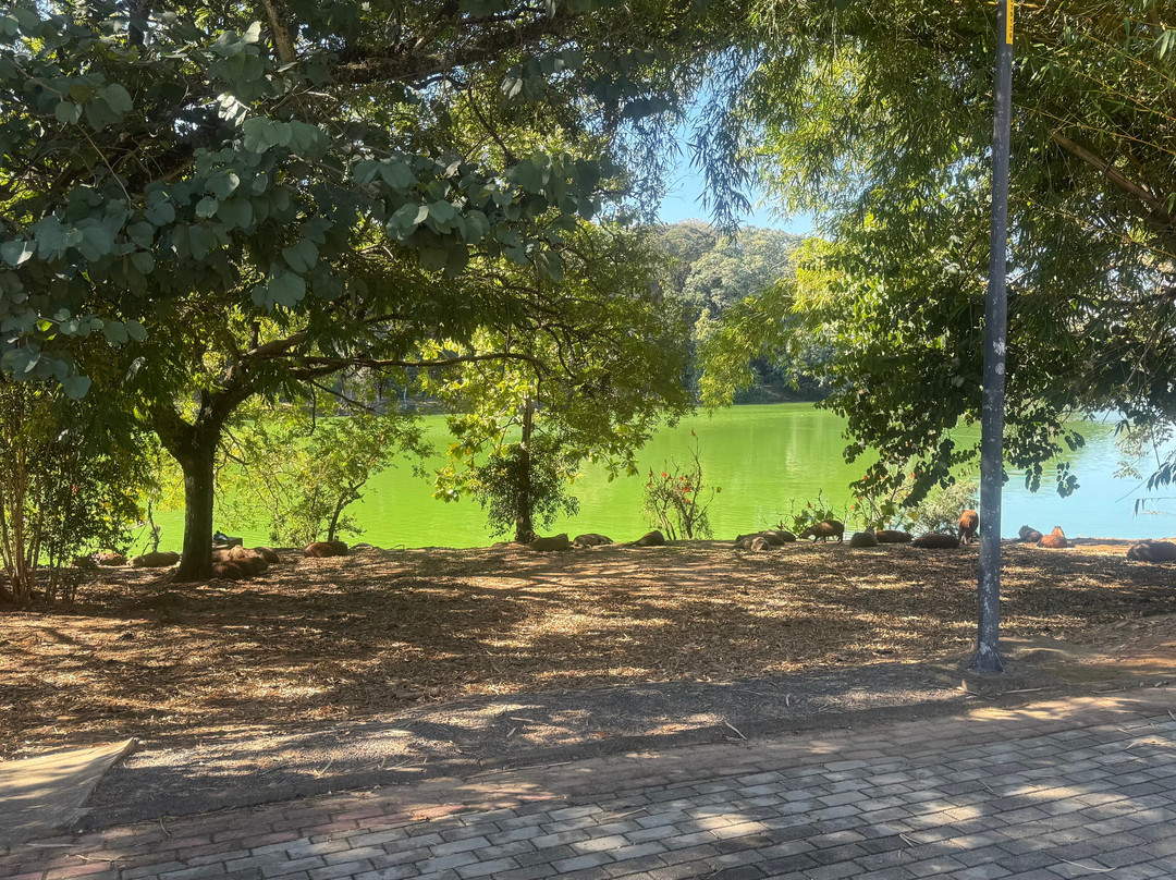Parque Portugal-坎皮纳斯必去景点