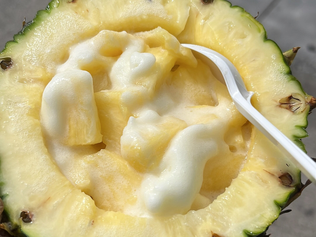 Pineapple Fountain-查尔斯顿必去景点