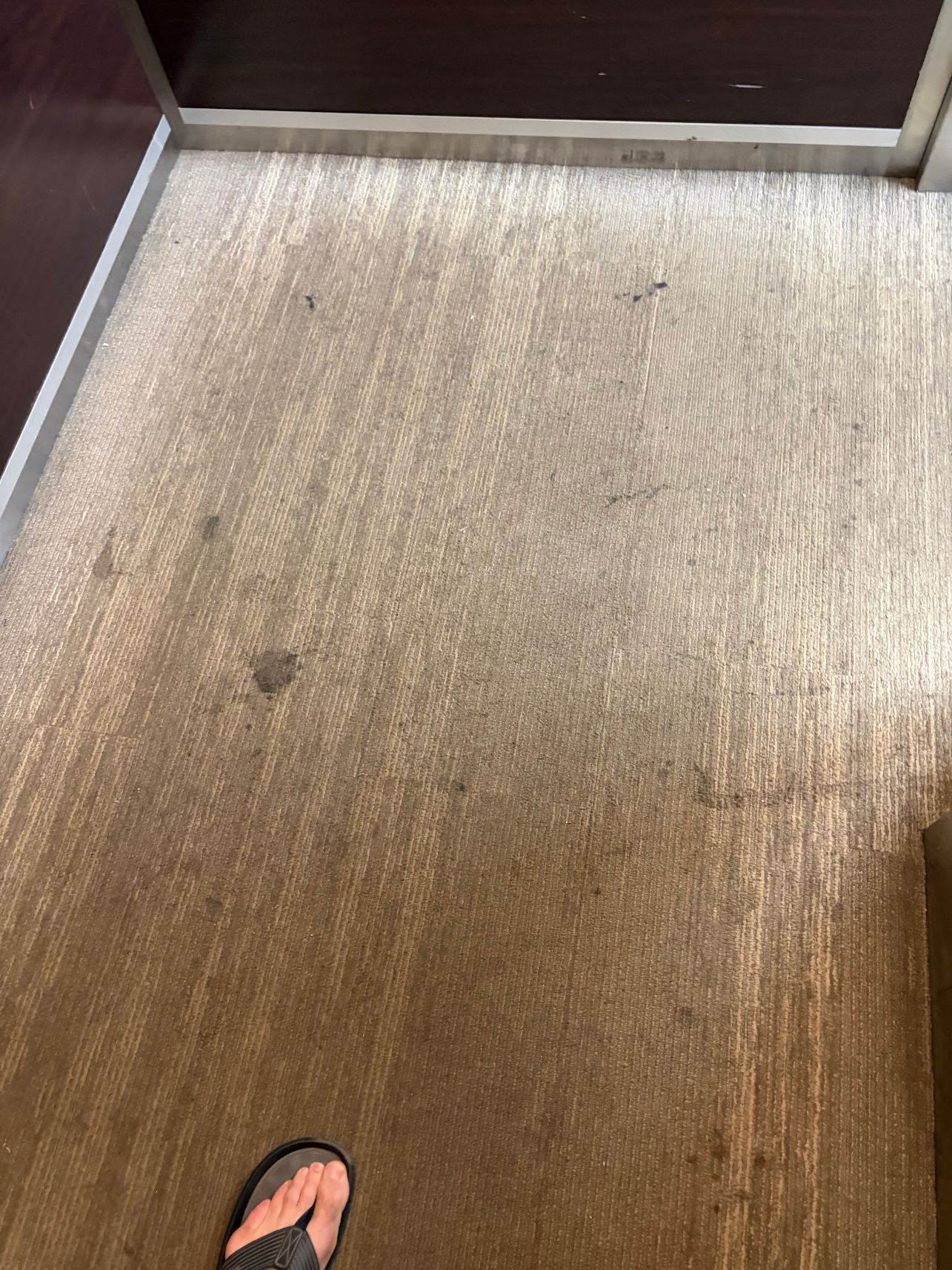 希尔顿欢朋酒店-罗克福德-旅行者