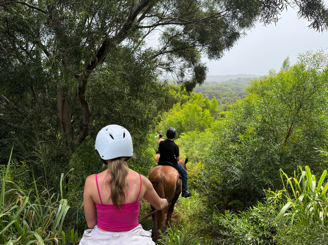 Ironwood Ranch-Napili-Honokowai必去景点