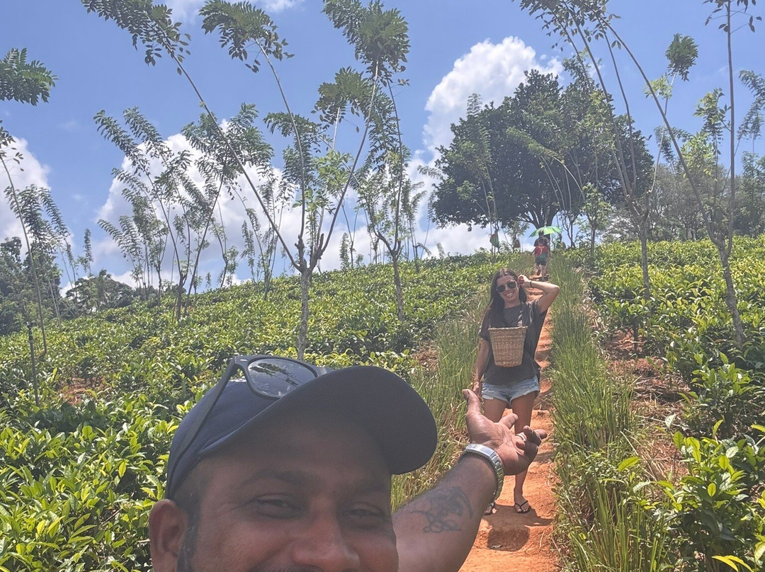 Ama  Lanka Tours-Minuwangoda必去景点