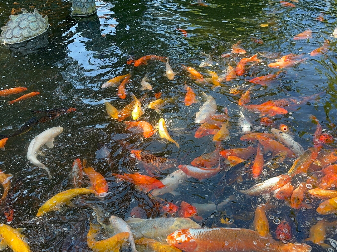 宜人海湾村度假酒店主图