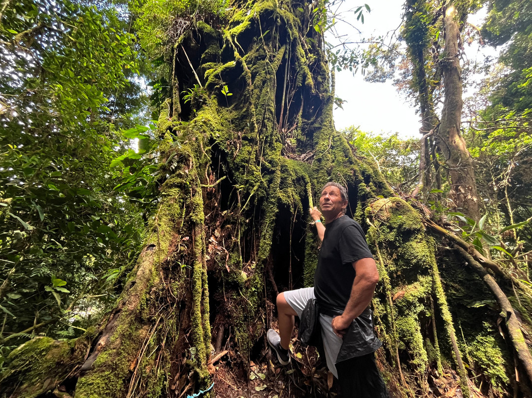 Tree Trek Boquete-波魁特必去景点