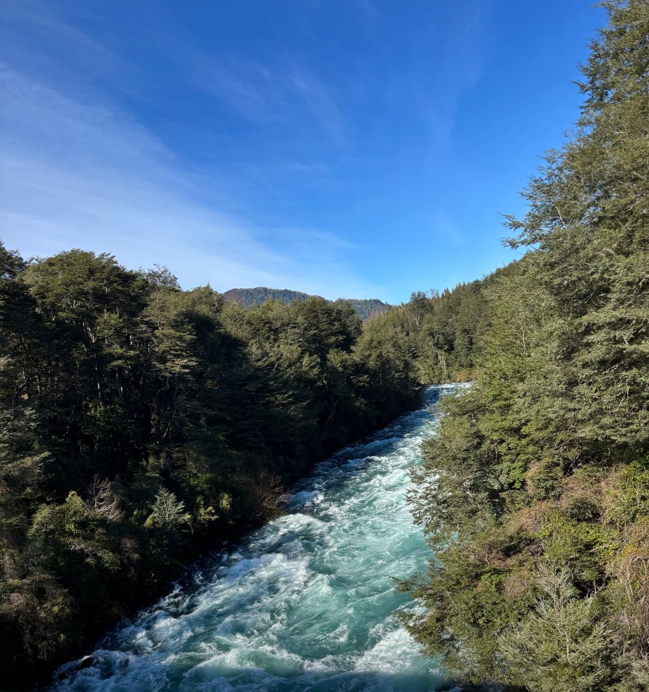 乎伊洛乎伊洛假山毛榉spa酒店-旅行者