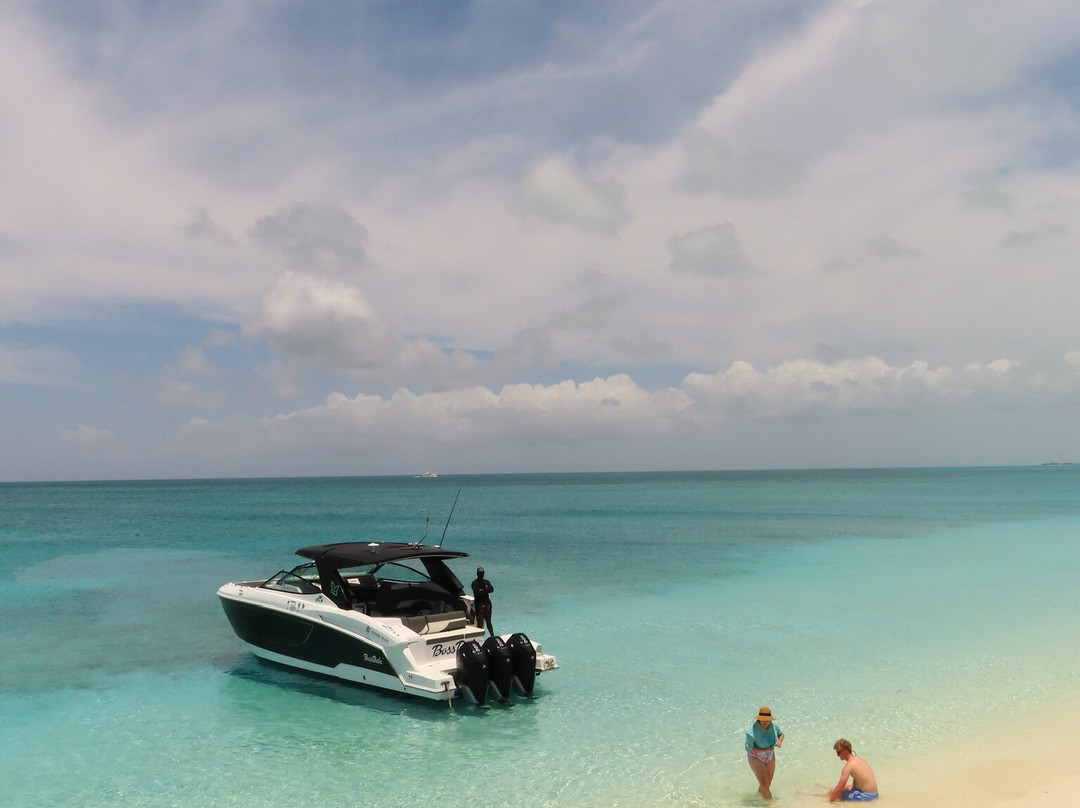 Island Vibes Tours-普罗维登西亚莱斯必去景点