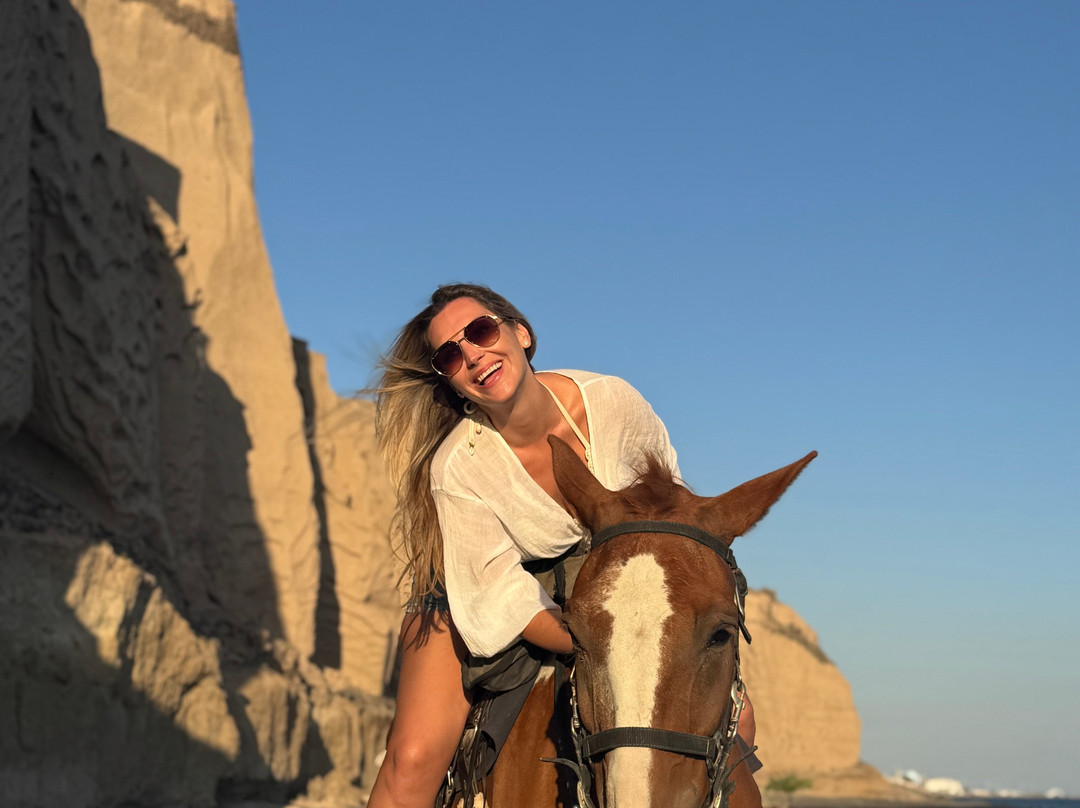 Experience Horse Riding-阿克罗蒂里必去景点