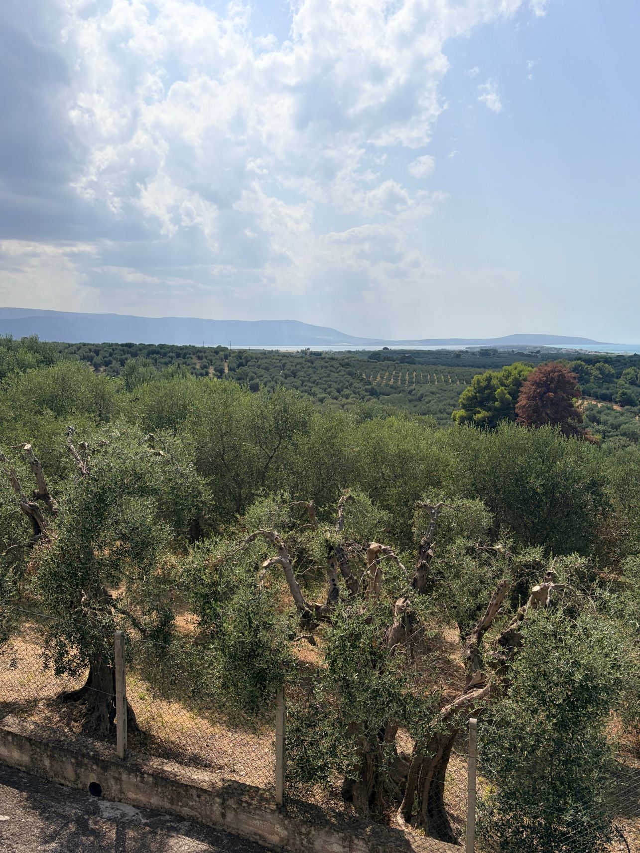Albergo 2 Pini-旅行者