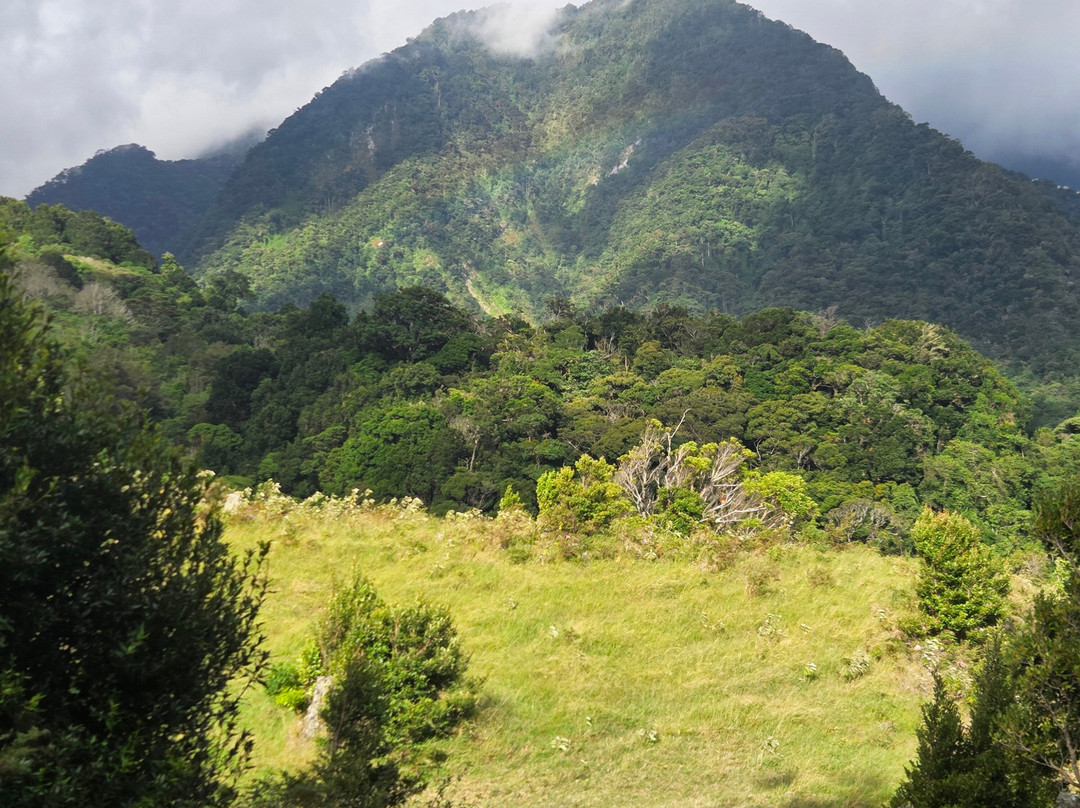 Mount Totumas Cloud Forest主图