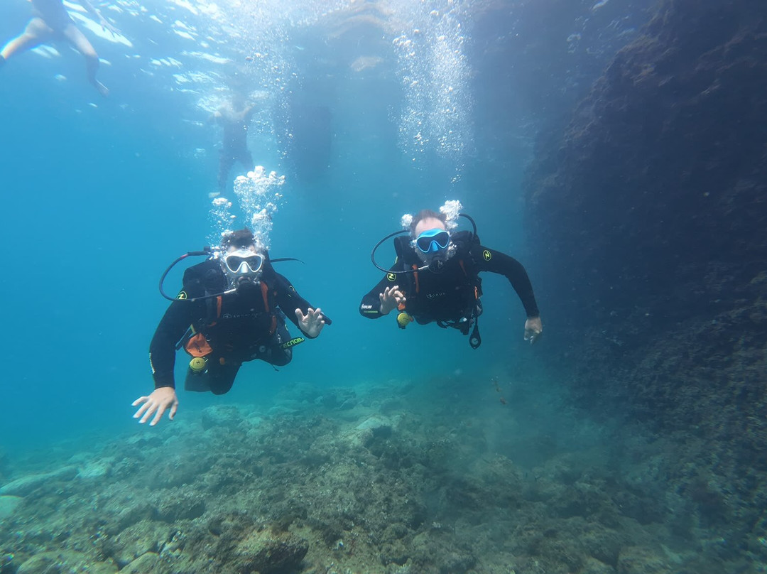 Mardays Dive & Water Experience-哈韦阿必去景点