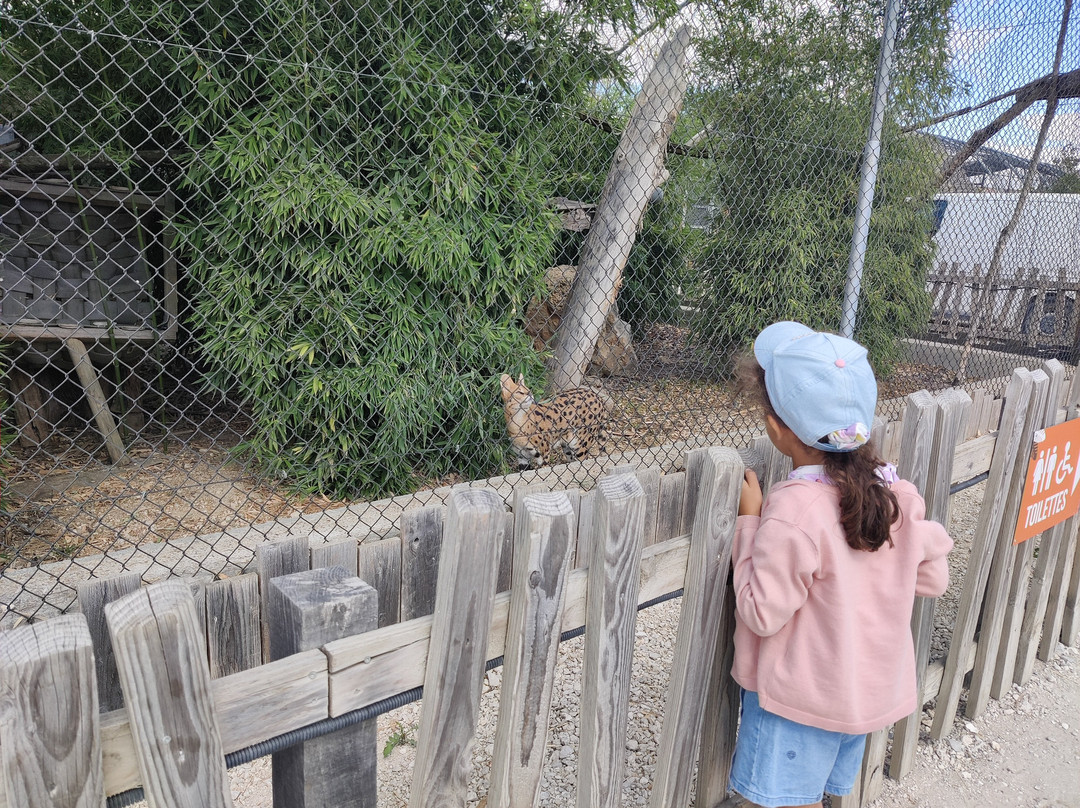La Tanière - Zoo Refuge-Nogent-le-Phaye必去景点