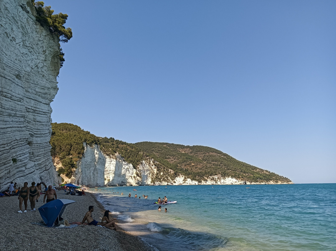 Spiaggia di Vignanotica-维耶斯泰必去景点