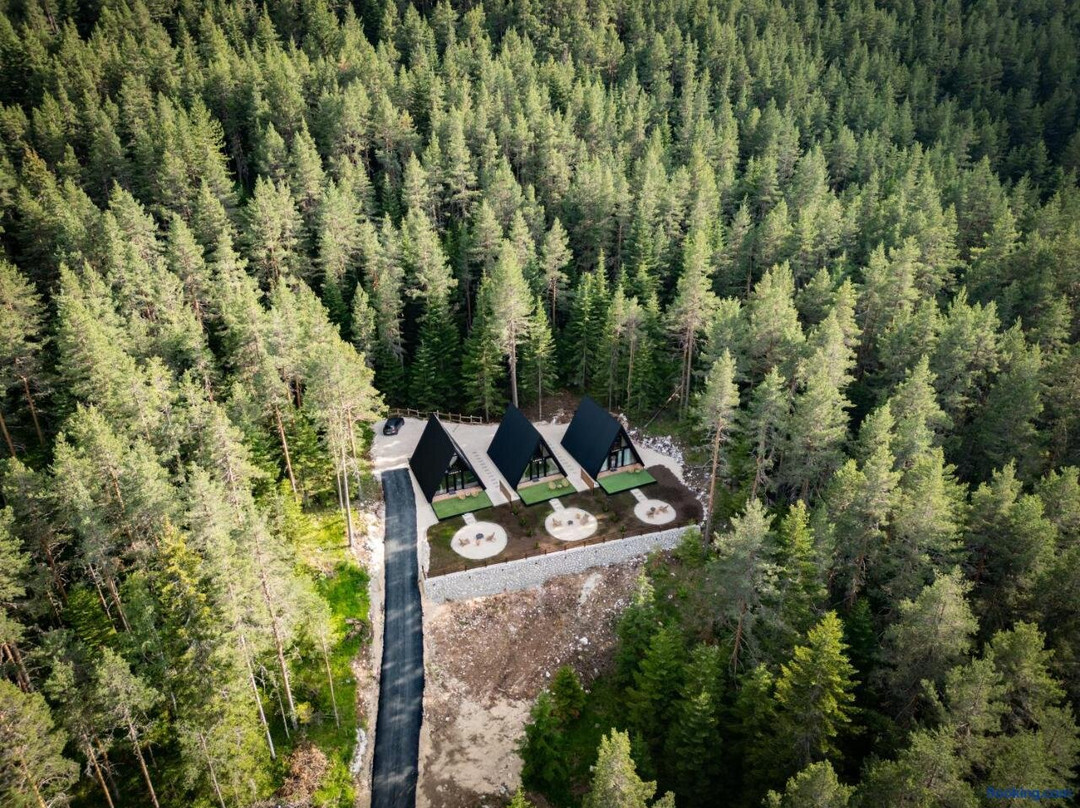 Hostel Durmitor