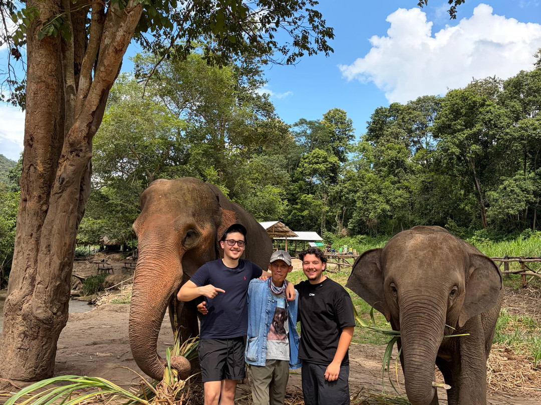 Pon Elephant Thailand-清迈必去景点