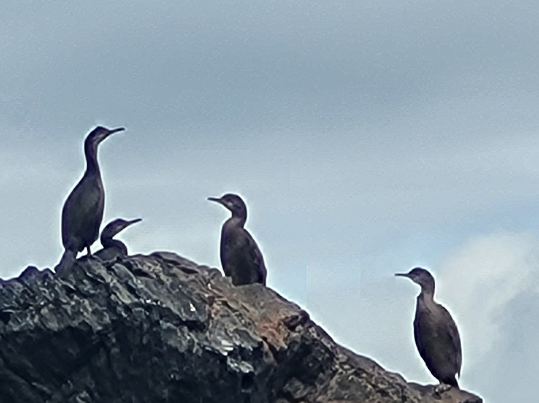 Donegal Sea Adventure-Burtonport必去景点