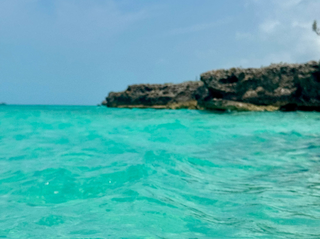 Taylor Bay Beach-普罗维登西亚莱斯必去景点