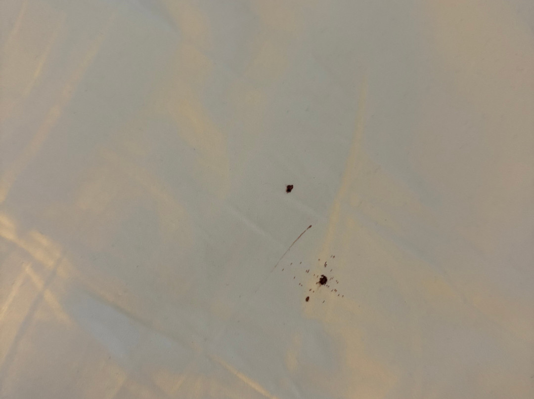斯瓦科普蒙德标准酒店主图