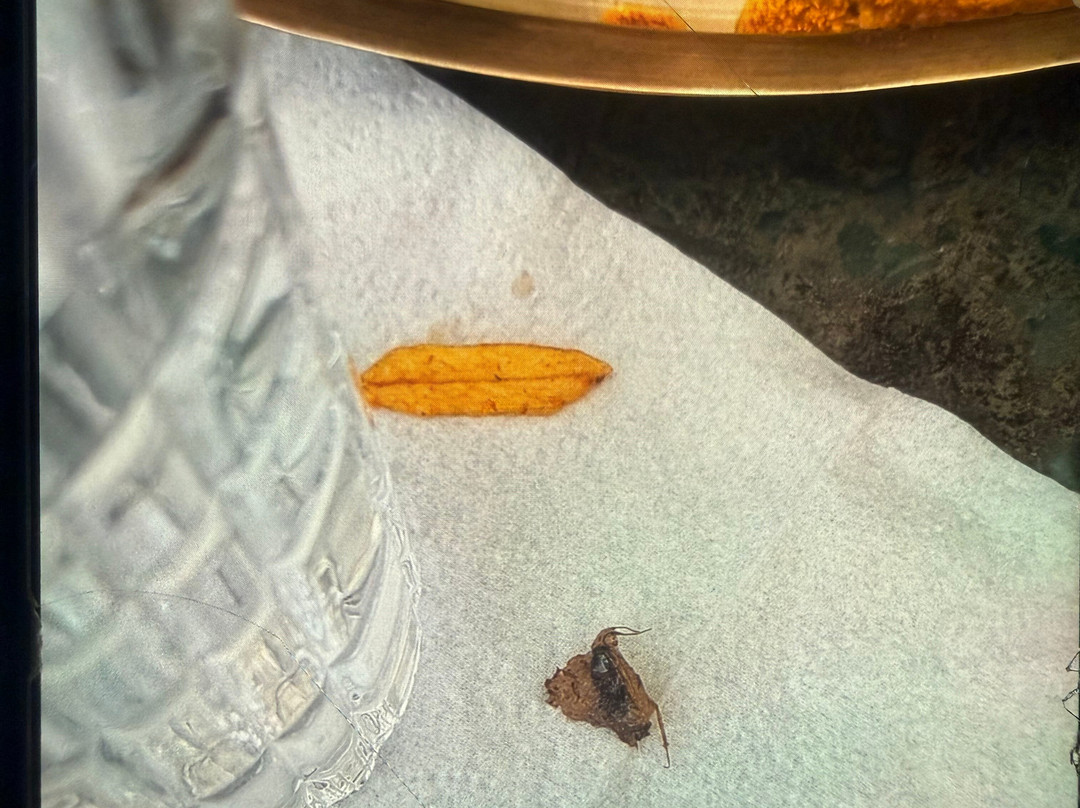 Kaveri Spicy Heaven And Restaurant