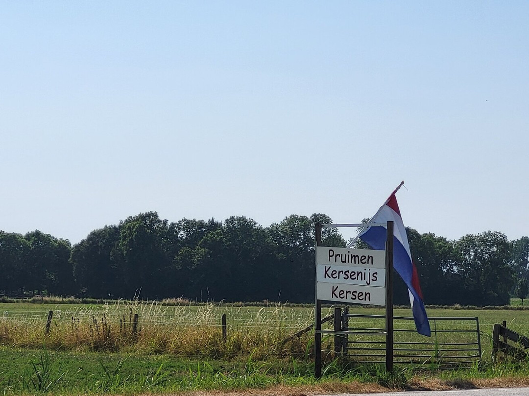 Fruitteelbedrijf Siem Entius (Kersen en pruimen)