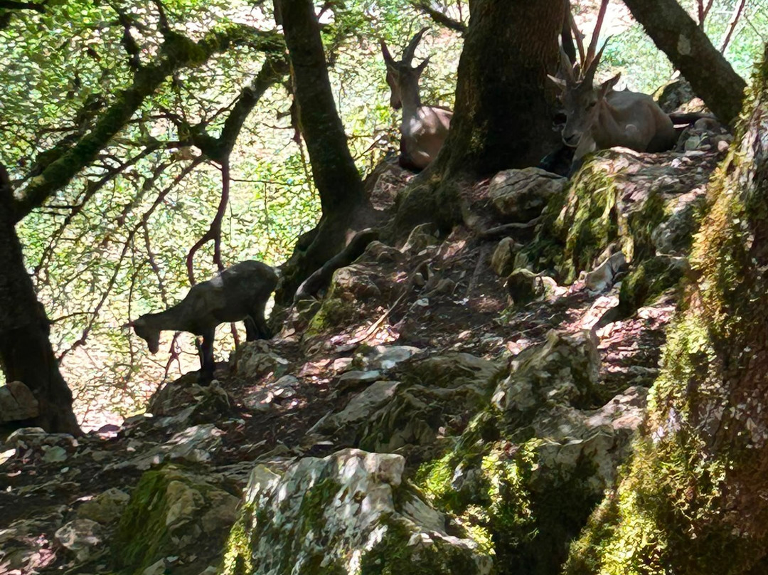 Parc Animalier De Gramat-Gramat必去景点