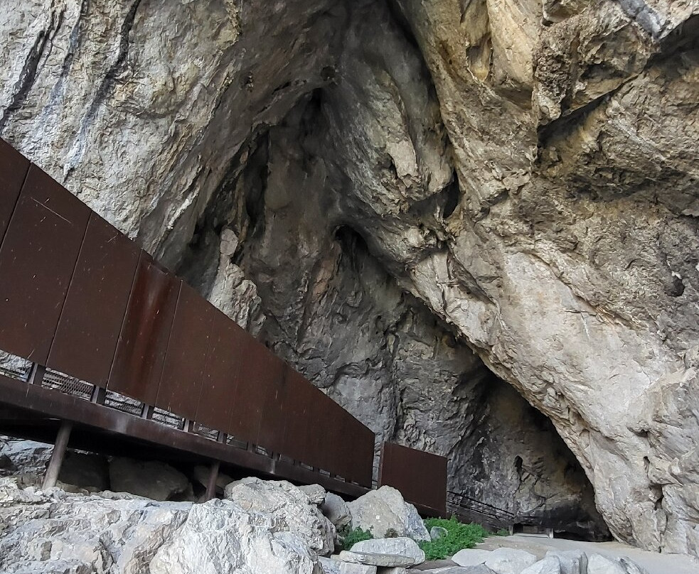 Grotte de Niaux-Niaux必去景点