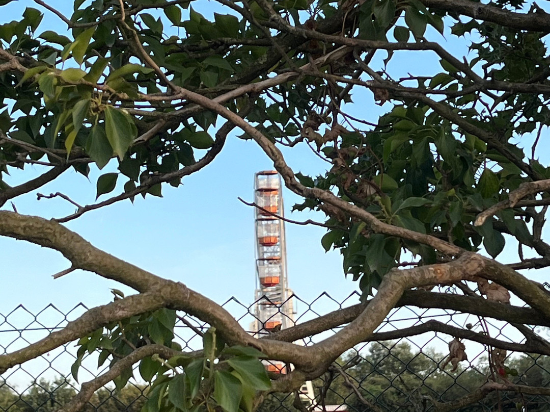 Folly Farm-Begelly必去景点